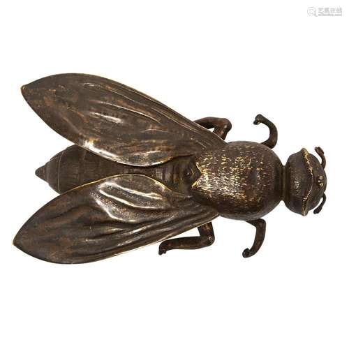 Japanese Bronze Fly