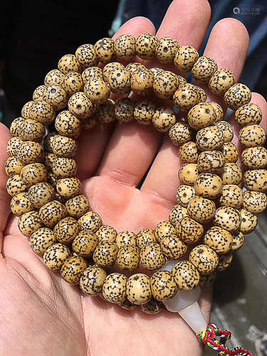 A STRING OF BODHI PRAYER BEADS