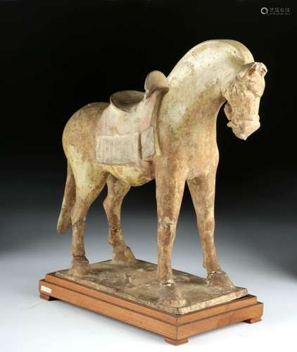 Chinese Sui Dynasty Straw-Glazed Pottery Horse w/ TL