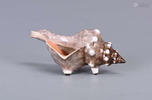 Porcelain Sea Shell