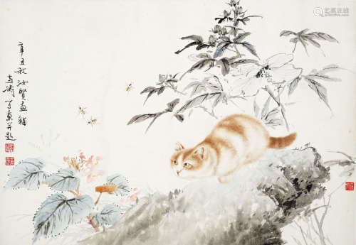 曹克家·王雪涛（款） 猫 设色纸本  镜心