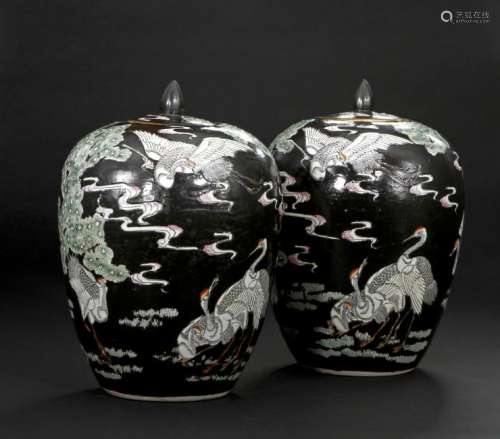 Pair of Famille Noir Ginger Jars and Covers