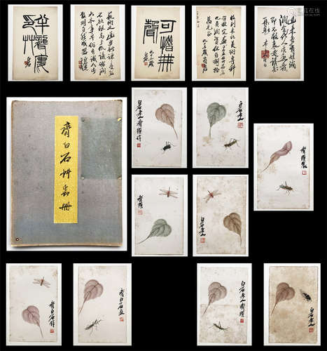 FORTEEN PAGES OF CHINESE ALBUM PAINTING OF INSECT AND LEAF