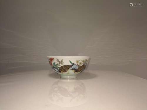 Chinese Enamel Porcelain Bowl CAI HUA TANG ZHI Mark