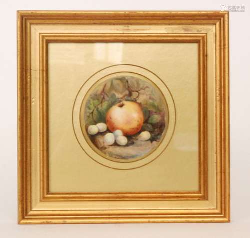 A framed Royal Worcester Fallen Fruits plaque hand painted by Sebright with an apple and gooseberries