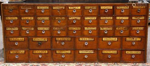 Apothecary cabinet, 19th century, having a rectangular top above 39 drawers, each with stenciled