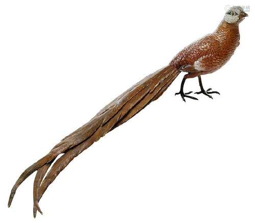 Bergman Cold Painted Bronze Pheasant