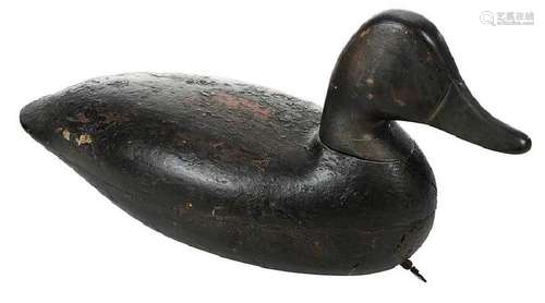 Black Duck Decoy Attributed to Harry Shourds