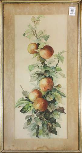 Watercolor, Branch Bearing Apples