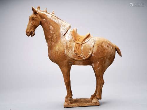 Tang dynasty red pottery horse