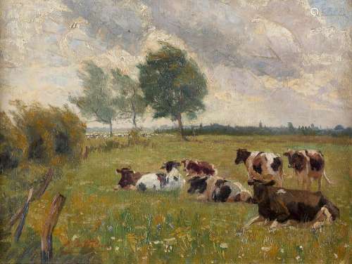 Kühe auf sommerlicher Weide