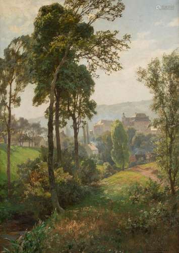 Waldlichtung mit Blick auf Schloss Blankenburg im Harz