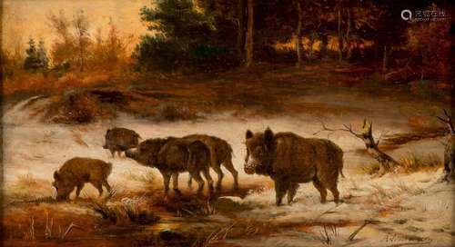 Wildschweine in verschneiter Landschaft