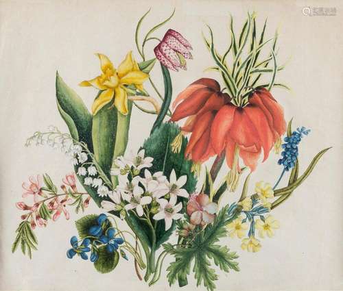 BOTANISCHE STUDIE MIT FRÜHLINGSBLUMEN