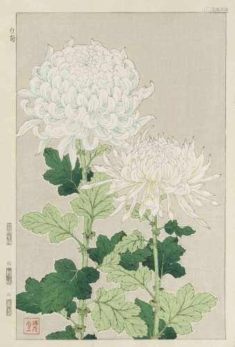 Lot: 8 Shin-Hanga von Shodo Kawarazaki (1889–1973)