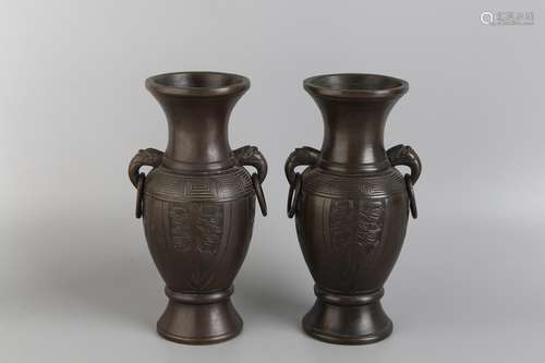 A PAIR OF BRONZE VASE