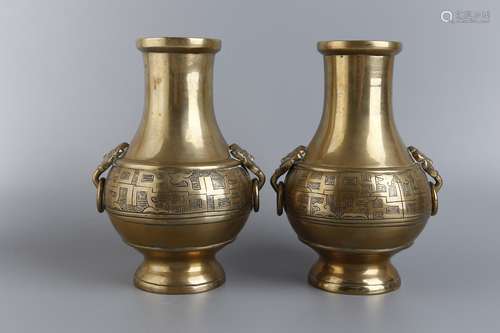 A PAIR OF BRONZE VASE