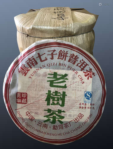 2008年老树茶一提