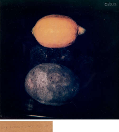 唐纳德·苏尔坦（1951～） 1985年作 Still Life Lemons＆Limes 镜框 胶版复印