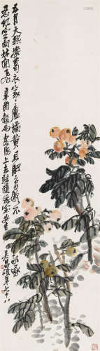 吴昌硕（1844～1927） 1921年作 枇杷图 立轴 设色纸本