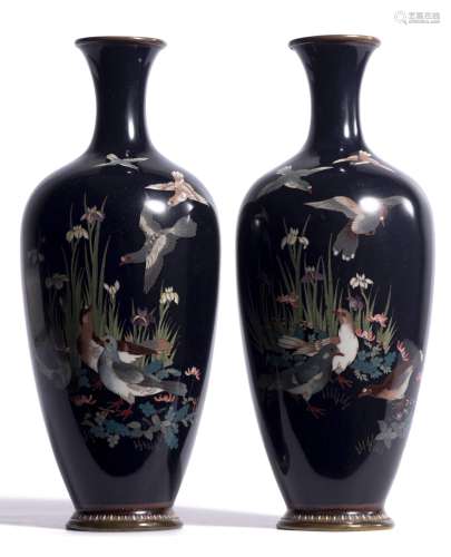 Paire de vase en cloisonné à décor de pigeons parmis les iris sur champ bleu [...]