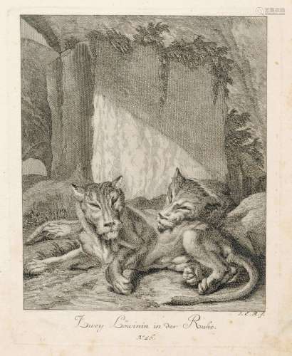 Johann Elias Ridinger, Sieben Tierdarstellungen. 1738- 1740.