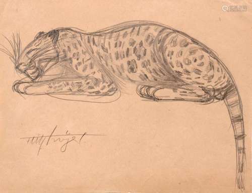 Fritz Troeger, Leopard. Wohl 1920 s.