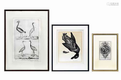 Lot van 3 antieke gravures oa met zichten van Antwerpen 3 antiq