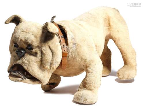 An early 20th century French papier-mâché and felt model of a French bulldog, with glass eyes and