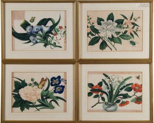 A set of four Chinese botanical paintings on rice paper: each flowering shrub with a butterfly or