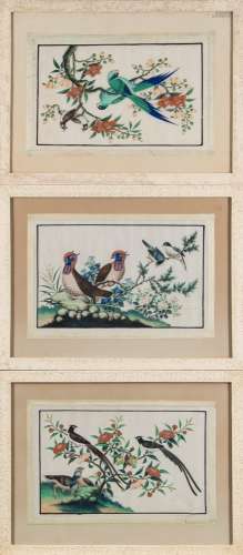 A collection of nine 19th century Chinese paintings on rice paper: each depicting exotic birds