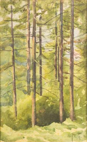 Thomas Cooper Gotch [1854-1931]- Pine Trees; near Penwith:- initialled, watercolour,