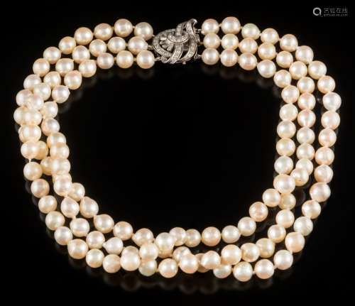 A cultured pearl,