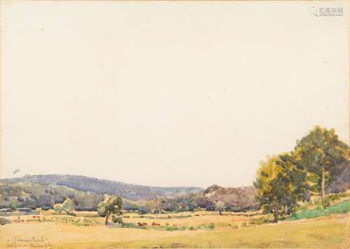 Samuel John Lamorna Birch [1869-1955]- Okehampton, a landscape sketch,:- signed and inscribed,