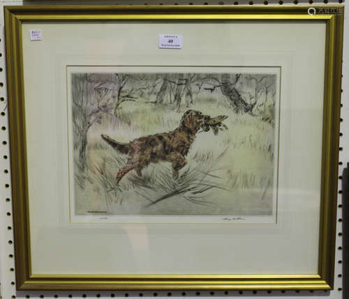 Henry Wilkinson - Red Setter with Game Bird, 20th century hand-coloured etching with drypoint,