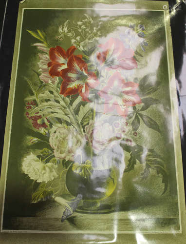 Gerald Cooper - Striped Lily, colour lithograph, printed by the Baynard Press and published by