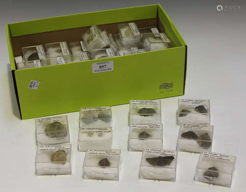 A selection of various fossil specimens, including brachiopods, mainly British examples, the