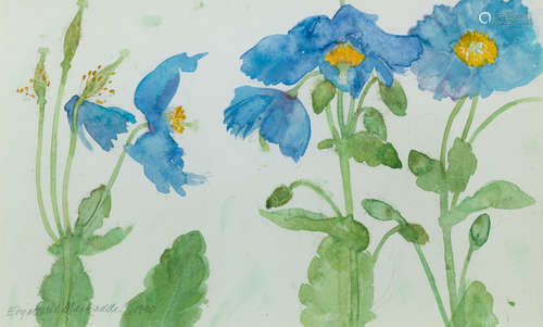 Blue Poppies  18 x 28 cm. (7 1/16 x 11 in.) Dame Elizabeth Blackadder OBE RA RSA RSW RGI DLitt(British, born 1931)