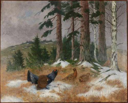 Carl Deiker 1926. 1879-1958. German School. Auerhaan with hens in the snow. Oil paint on linen.