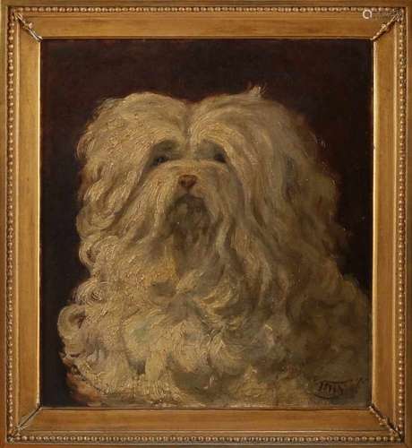 Unclear. Circa 1880. Dog portrait. Oil paint on linen. Size: 25 x 22 cm. In reasonable / good