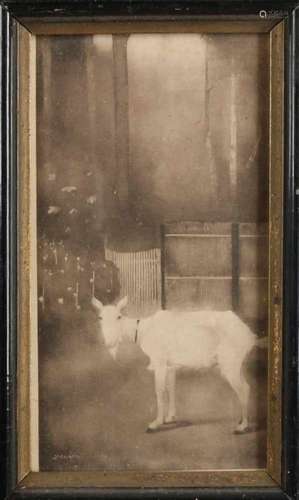 Jan Mankes. 1889 - 1920. Kid at fence. Old lithography on paper. Size: 20 x 11 cm. In good