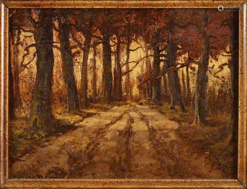 Jos van Dijk. Forest path. Oil paint on panel. Size: 18 x 24 cm. In good condition. Jos van Dijk.