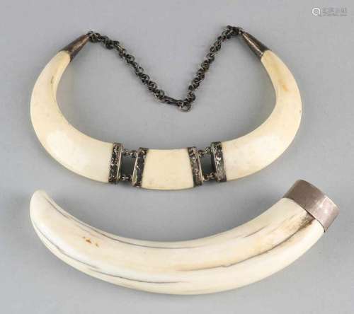 Two boar teeth, one made as a necklace and one finished with silver. 42 cm and 20 cm. In good