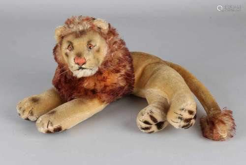 German Steiff lion with 'Knopf im Ohr'. Mohair with glass eyes. Size: 33 cm. In good condition.