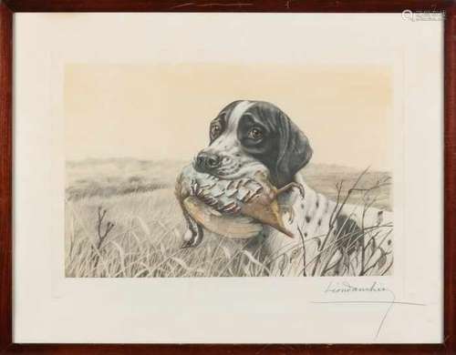 Leon Danchin. 1887-1938. No. 287. Hunting dog with partridge. Colored etching on paper. Size: 50 x