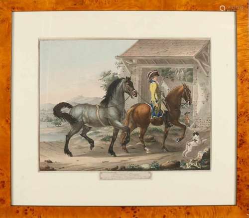 18th Century hand-colored engraving. Chevaux d'Allemagne grave par JG Pforr. Engraving on paper.