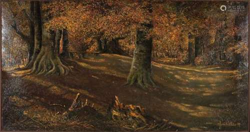 CJ van der Aa. 1883 - 1950. Almelo. Sunny forest face in Twente. Oil paint on linen. Size: 78 x