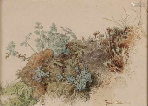 Franz Alt 1903. 1821 - 1914. German School. Rock party with plants. Watercolor on paper. Size: 16