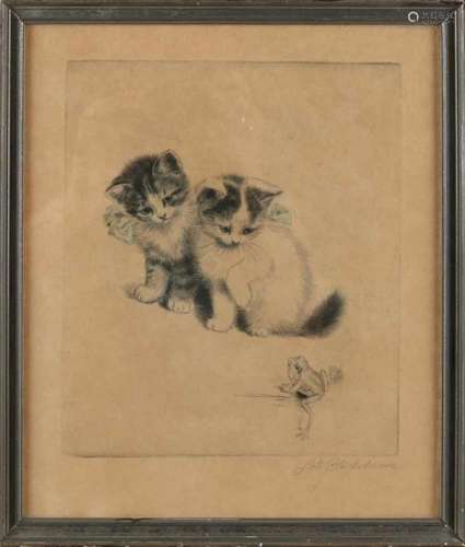 Meta Plückebaum. German School. 1876 ​​- 1945. Two kittens with frog. Etching on paper. Size: 24 x