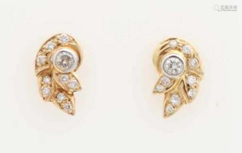 Ornate yellow gold ear studs, 585/000, with diamonds. Ear studs in the shape of a leaf full of